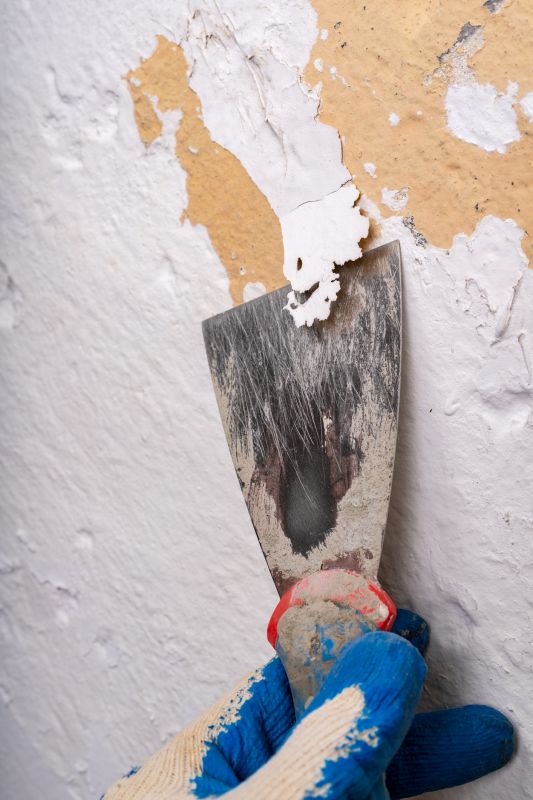 Wood Paint Removal detail